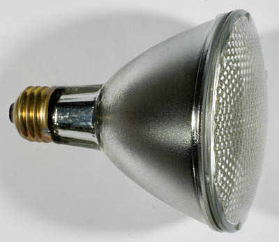 PAR30 halogen bulb
